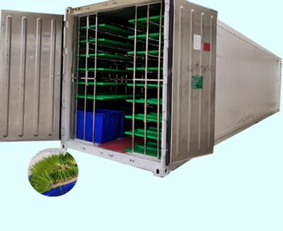 China Wheat 3000kg per day container type fodder germination system hydroponic green fodder growing room for animal feed for sale