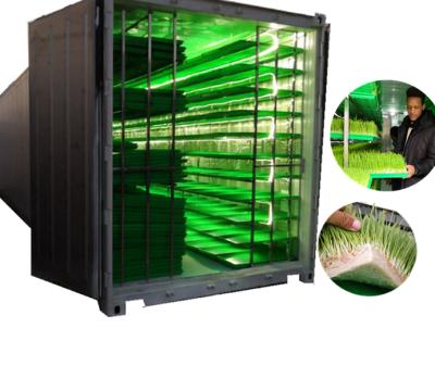 China Wheat Plant Manufacturer Low Cost Of Hydroponic Fodder Machine /Automatic Fodder System Container Type for sale