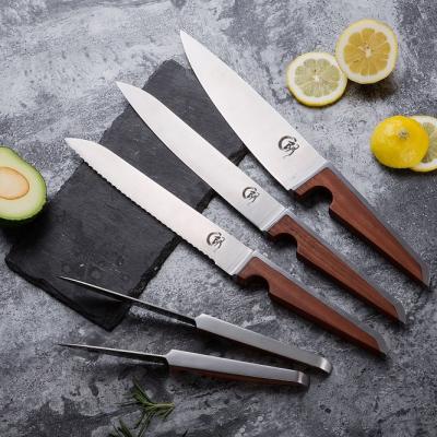 China Viable 5pcs Special Design Stainless Steel Kitchen Knives Set With Wooden Handle for sale