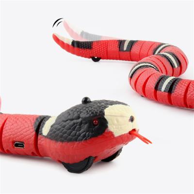 China USB Stored Eco-Friendly Maker Electron Automatic Snake Interactive Sensing Smart Toys For Cats for sale