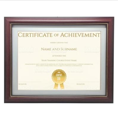 China Durable Plastic Custom Size Certificate And Diploma Picture Frames Graduate Photo With Gold Trim for sale