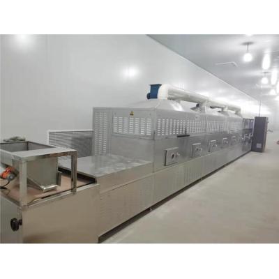 China High Efficiency Easy Operate Tunnel Type Automatic Microwave Food Dehydrator Squid Drying Hongqiang Machine for sale