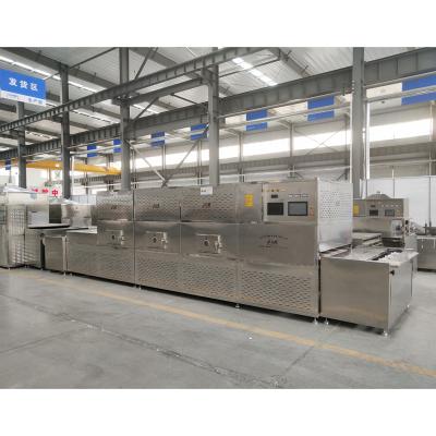 China Hotels Hongqiang Good Effect Microwave Vegetable Drying Equipment Microwave Vegetable Drying Equipment for sale