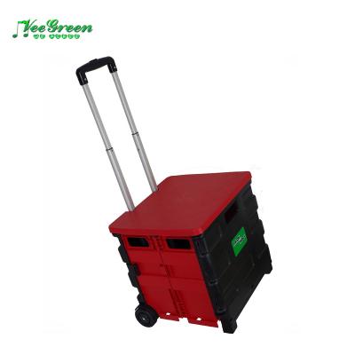 China Pack N Folding Roll Folding Trolley Portable Trolley For Shopping for sale