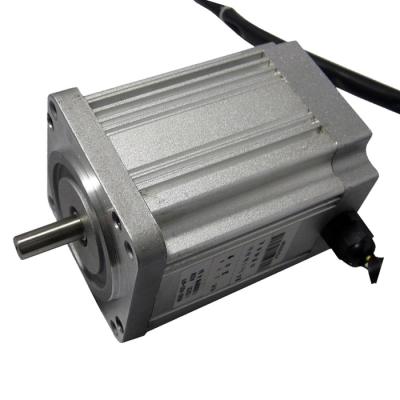 China Totally Enclosed 1HP DC Brushless Motor for sale