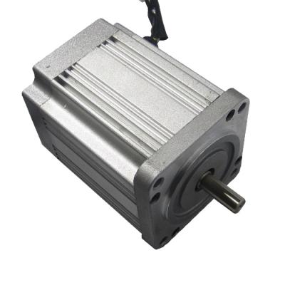 China Totally Enclosed 48V 250W DC Brushless Electric Motor for sale