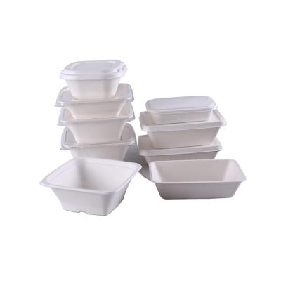 China Disposable Sugar Cane Food Container Lunch Box With Lid Compostable Disposable Packaging Box for sale