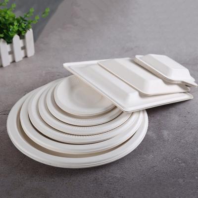 China Biodegradable Disposable Fiber White Bagasse Sugarcane Biodegradable Dinner Dish for sale