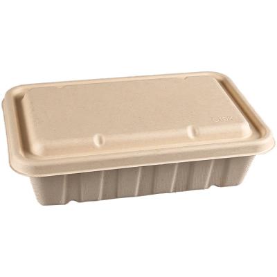 China Biodegradable Microwave Friendly Food Packaging 2500ML Bagasse Packaging Boxes for sale