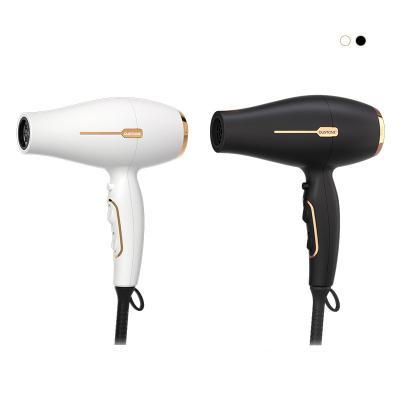 China Other New High Powerful 2200W Ionic Infrared Hotel Multifunction High Speed Electric Salon Professional Hair Dryer One Step Hair Dryer for sale