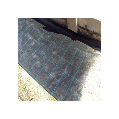 China Agiculture Use Virgin Material Green Weed Fences Landscape Fabric Exporter for sale