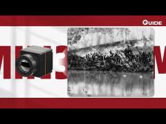 uncooled thermal imaging camera core 384×288/17μm min317 for rapid integration