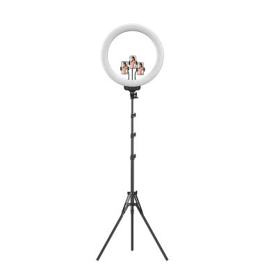 China PC ABS New Arrival RK-60 19 Inch RGB Marquee Anchor Live Streaming Ring Light With Colorful Tripod Stand Dimmable for sale