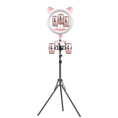 China Cute Cat's Head 20 Inch Dimmable Live Stream Led Beauty Makeup Fill RK-45 Light Photography Ring Light With Tripod Stand 20 Inch for sale