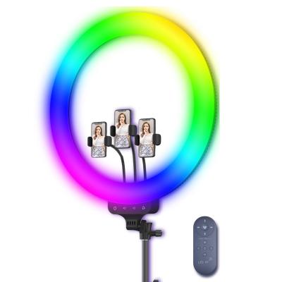 China Hot Selling Colorful Anchor Live Streaming Led Ring Light Marquee RK-60 19 RGB PC ABS With Tripod Stand for sale