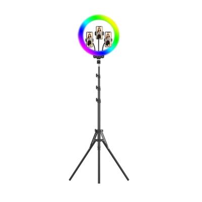 China PC Live Light Photography LED ABS RK-61 RGB 13 Inch 33cm Colorful Light Marquee Multiple Flame Effects Atmosphere With Tripod Stand for sale