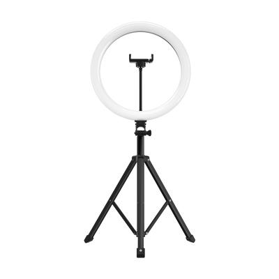 China RK-53 All in 1 Inch Foldable Extendable Live Streaming Fill Light 12 200cm Ring Light with Photographic Tripod Stand Lighting 12 Inch for sale