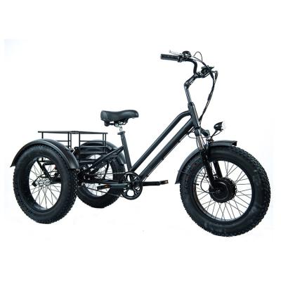 China Hot Selling China Cargo Adult Tricycles 750W 48V Three Wheel Adult Bike Li-ion Battery Electric Tricycle for sale