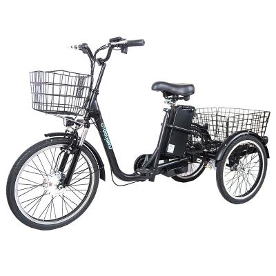 China 250w cheap electric tricycle electric cargo tricycle electric motor 3 wheel differiential motor 3 wheel for sale