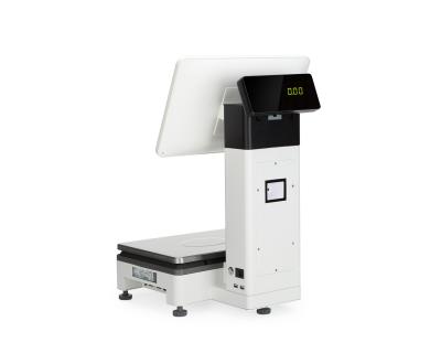 China PC+ABS Scales POS Scales Electric All-in-One Cashier Double Machine Touch Screen for sale