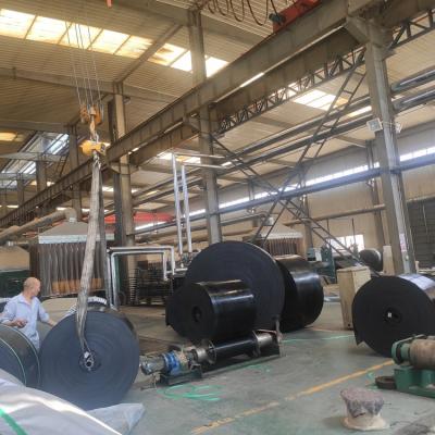 China NN100-500 wear resistant nylon wear /abrasion resistant rubber conveyor belt used in cement/coal /mining/crusher/industry for sale