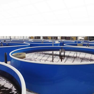 China Ras Recirculating Aquaculture Systems Shrimp Farm, Shrimp Farm Equipment, Indoor Shrimp Farm for sale