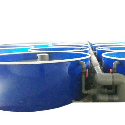 China RAS Recycling Aquaculture System California Sea Bass Aquaculture Equipment , Ras Fish Farming For Sea Bass for sale