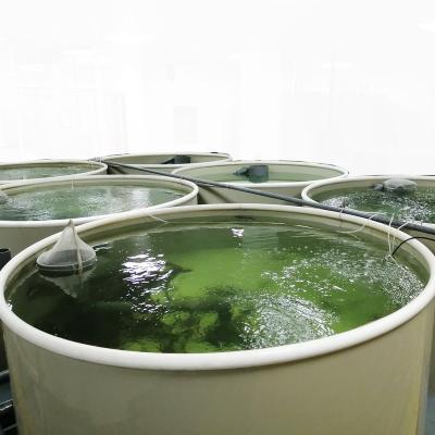 China Ras Recirculating Aquaculture Systems Tilapia Fish Farming Equipment,ras System Aquaculture Equipment for sale