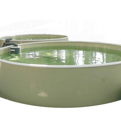 China Ras Recirculating Aquaculture Systems 100 Ton Per Hour Flow Capacity Recirculating Aquaculture System Seawater Fish Farming Equipment For Indoor Fish Farming for sale