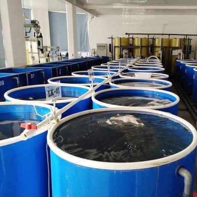 China Large viable commercial aquariums for fish farming for sale