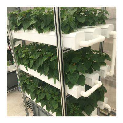 China Garden Factory Price Hydroponic Wholesale Plastic Nft Classified List for sale