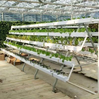 China Largest Height 480 Holes Garden Hydroponics Growing Systems Agriculture Greenhouse for sale