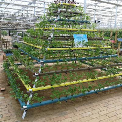 China PVC-U Garden Channel for NFT Hydroponic System for sale