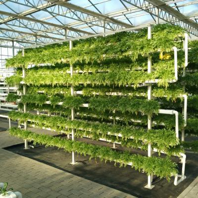 China Vertical Garden Greenhouse Hydroponic Growing Systems For Lettuce for sale