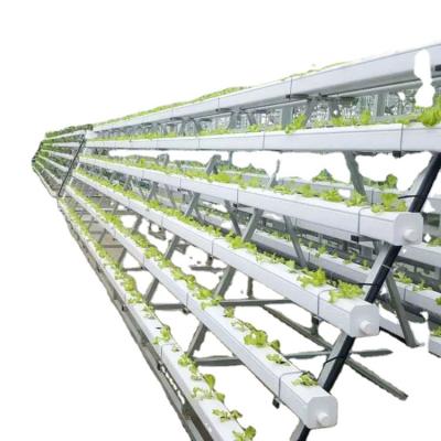 China Largest Height 480 Holes Garden Hydroponics Growing Systems Agriculture Greenhouse for sale