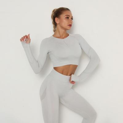 China Breathable 2021 New Long Sleeve Yoga Fitness Set Women Sports Suit Seamless Yoga Clothes Workout Gym Set for sale