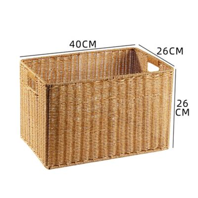 China Best Selling Durable Household Rattan Sundries Basket Plastic Portable Storage Basket Washable BPA Free for sale