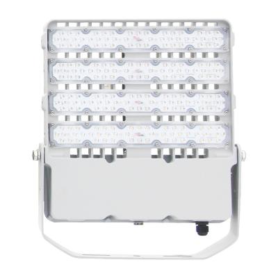 China Sports stadiums 100w 150w 200w 300w led floodlight die-casting aluminum high quality led flood light for outdoor for sale