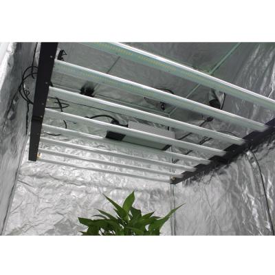 China Seed Starting China Shenzhen High Commercial 600W Spyder Shape LED Grow Light for sale