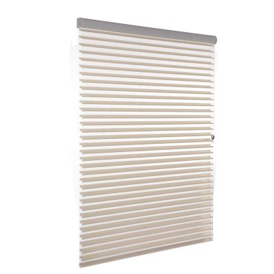 China Minimalist Customized Day And Night Blackout Roller Blind Shangri-La Blind Shades Shutters For Living Room for sale