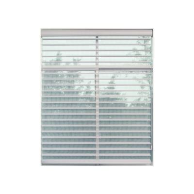 China Minimalist Shangri-La's fine quality window blind manufacturer for living room for sale