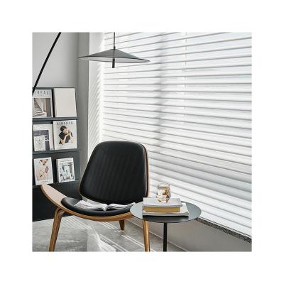 China Shangri-La Minimalist Polyester Windows Roll Blinds Pure Vertical Blinding Vertical for sale