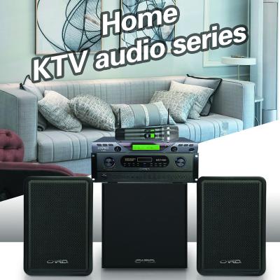 중국 High Quality Family Ktv Karaoke Audio System DJ Sound System 판매용