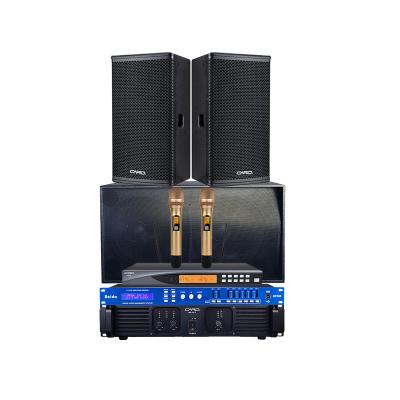 China professional club pa speaker system with speaker amplifier and mic for sale