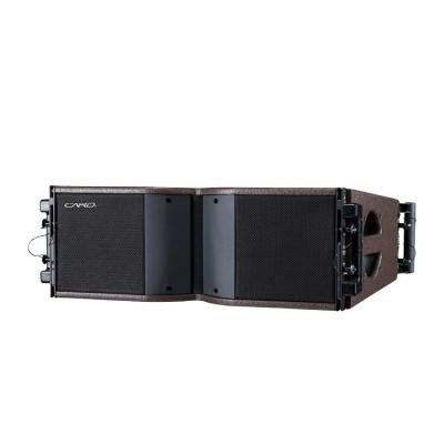 China CARD Dual 8 Inch Passive Line Array Speakers Line Array Systems Speaker for sale