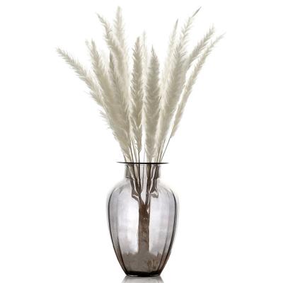 China Bunny Tails Party Wedding Color 60cm Plant Material Flower Dry Natural Pampas Grass Real Pampas Grass Factory Wholesale Sales for sale