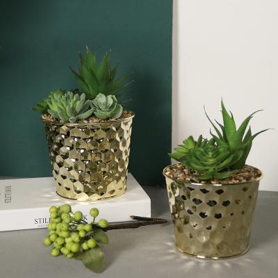 China Modern Hot Selling Cheap Plastic Custom Office Green Decoration Artificial Plants for sale