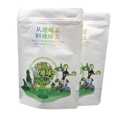 China BIODEGRADABLE custom printing 100% food grade paper bag 100% recyclable biodegradable zip lock bags environmental protection paper bags for sale