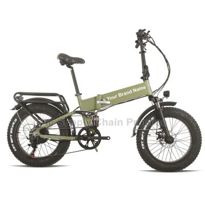 China Aluminum Alloy SW21010 20 Inch Shock Absorption Electric Powered Bicycle Snowmobile 750W Wide Tire 4.0 for sale