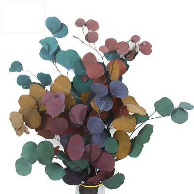 China 2022 Yunnan Wholesale Flower Arrangement Dried Preserved Apple Leaves Eucalyptus Leaf For Flower Arrangement for sale